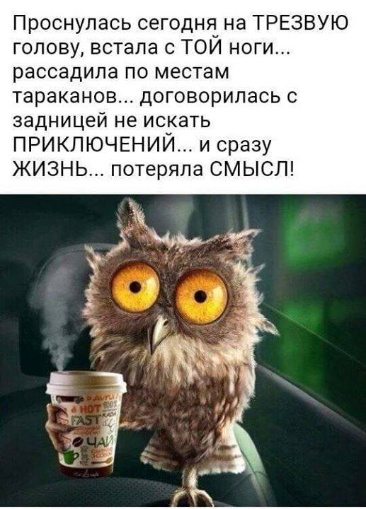 Ой, Мойша, заходите ещё! Без вас так потом хорошо! Ой, Мойша, заходите ещё! Без вас так потом хорошо! анекдоты,веселье,демотиваторы,приколы,смех,юмор