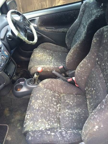 Подборка картинок. Дневной выпуск (51 фото)