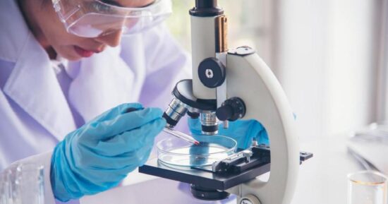 В Китае мышонок, рожденный от двух самцов, сам стал папой