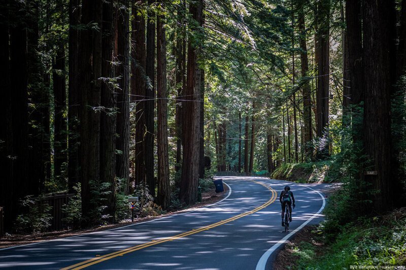 Как американцы любят природу. Путевые заметки