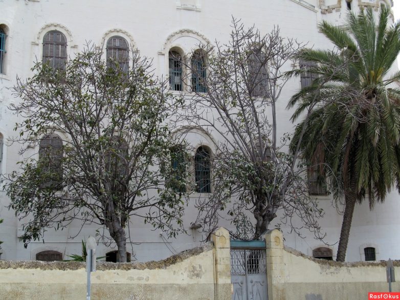 Израиль — страна-пустыня? Нет, страна-сад! Израиль — страна-пустыня? Нет, страна-сад!