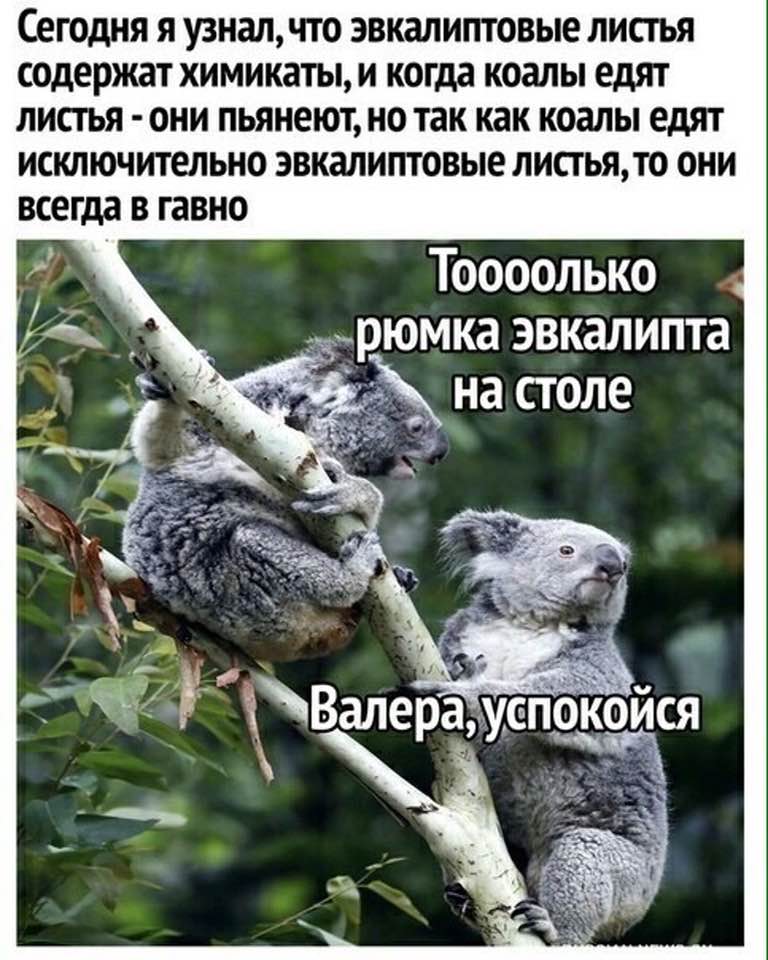  - И в кого ж это наш сынишка такой красивый?...