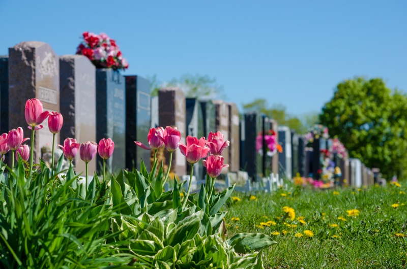 цветы на кладбище фото