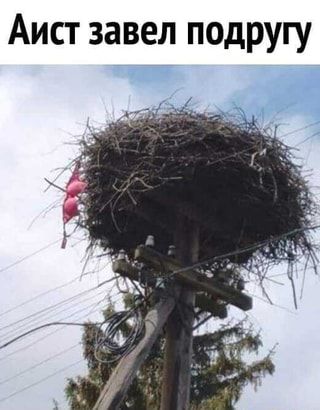 Подборка позитива в картинках на весь день! 