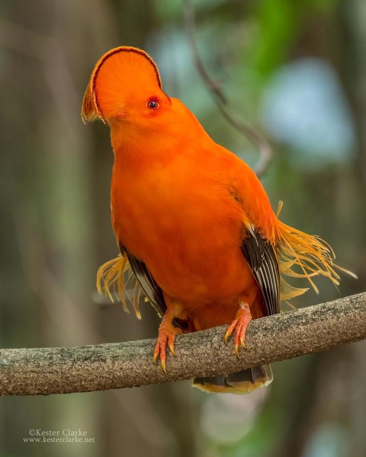 Мир без фотошопа. Удивительное зрелище! Мир без фотошопа. Удивительное зрелище! мир