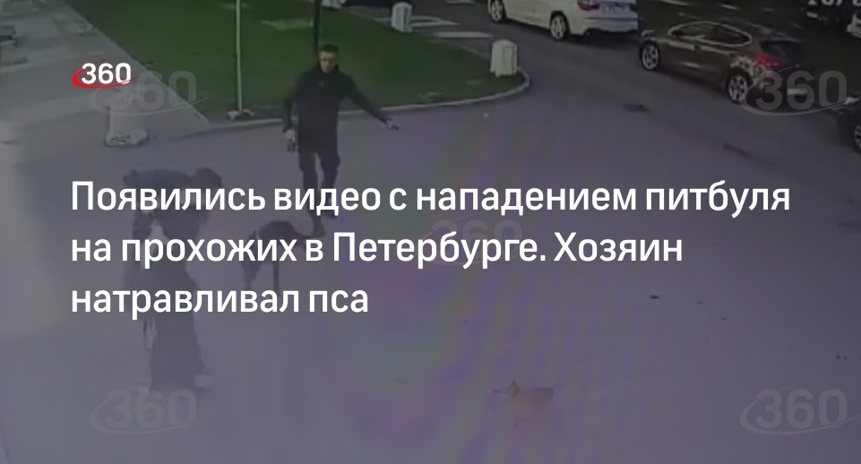 Видео 360.ru: петербуржец специально натравливал питбуля на прохожих