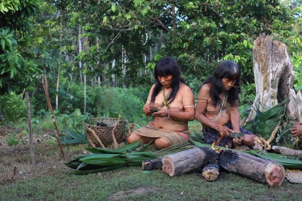 Дух Амазонки: жизнь древнего племени матсес — «людей-ягуаров» гид,история,мир,путешествия,самостоятельные путешествия
