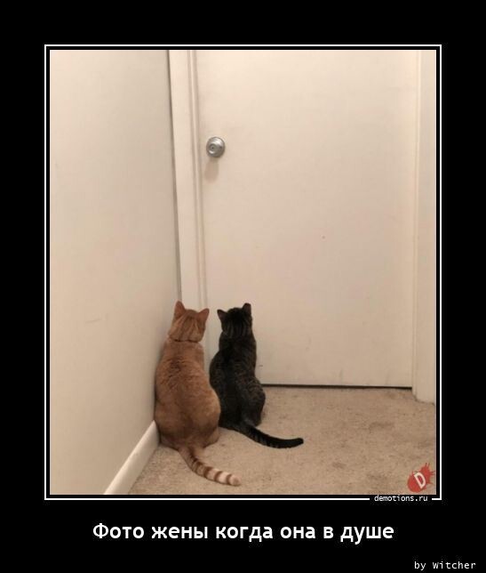 Демотиваторы свежие и прикольные Демотиваторы свежие и прикольные