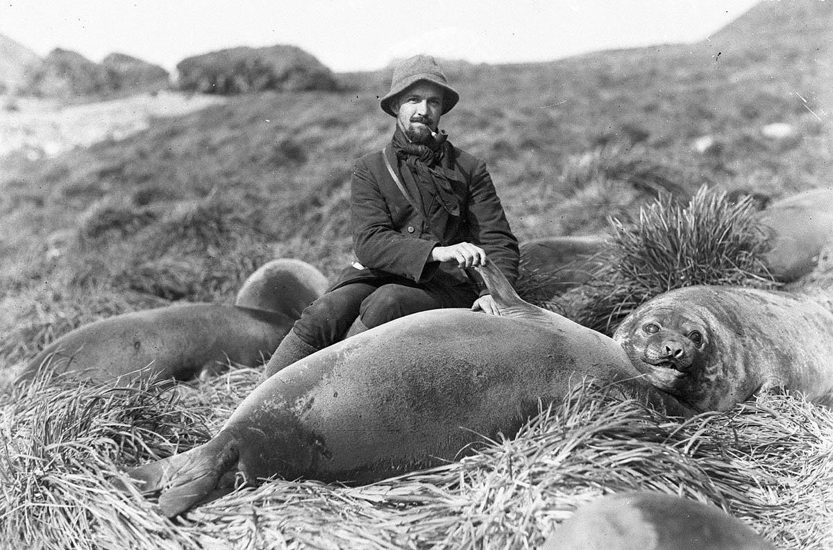 Первая Австралийская антарктическая экспедиция в фотографиях Фрэнка Хёрли 1911-1914 49