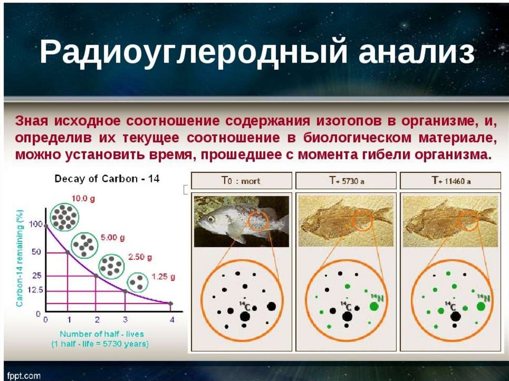 Датирование – важнейший элемент любых исторических исследований, особенно в археологии.