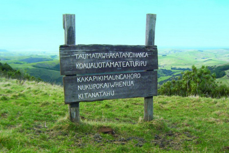 Всего по миру ( не включая СНГ), разбросано 68 длинных названий (до 15 букв), в России таких два – оба по 23 буквы. Топонимы, названия, язык