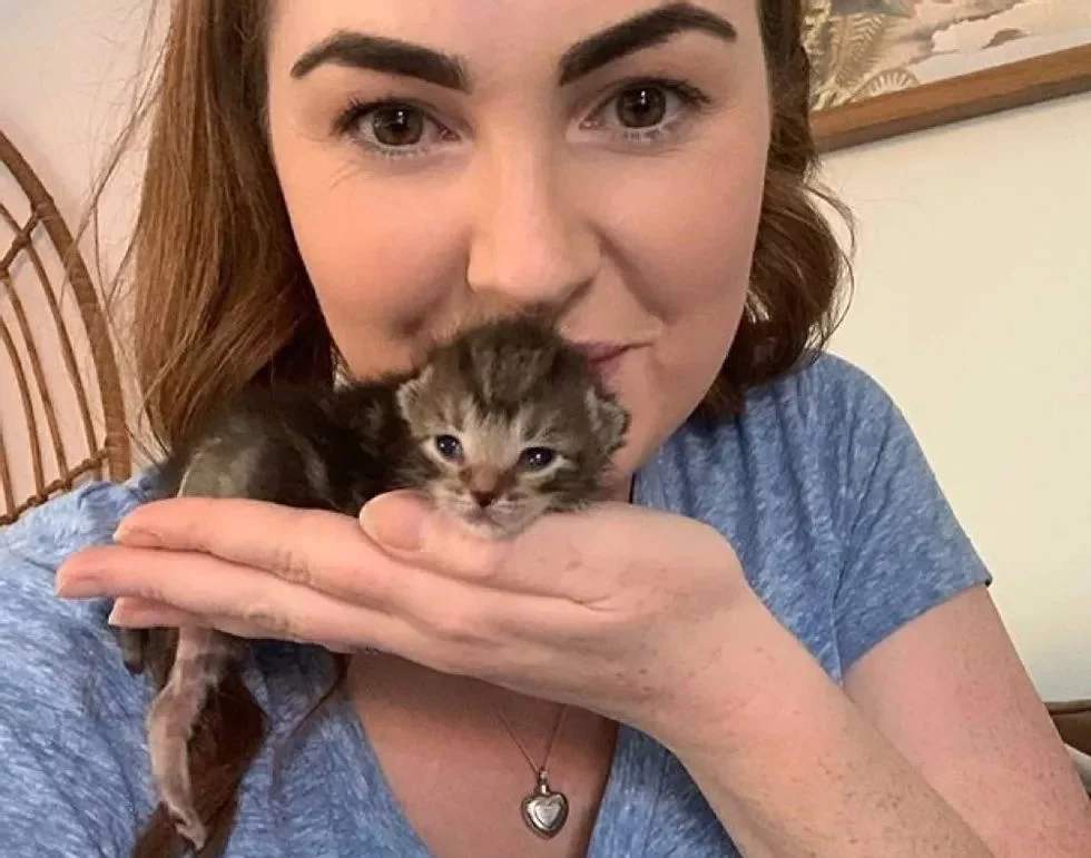 Без кота и жизнь не та