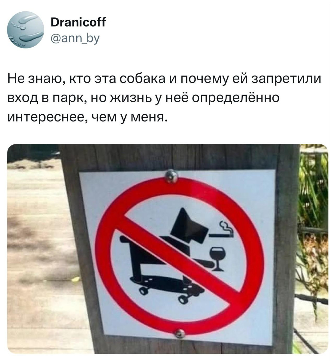 Чемпион мира по прыжкам в воду закидывает пельмени в кастрюлю без брызг Чемпион мира по прыжкам в воду закидывает пельмени в кастрюлю без брызг