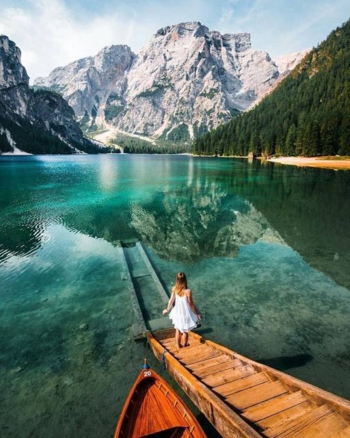 Удивительные и прикольные моменты 