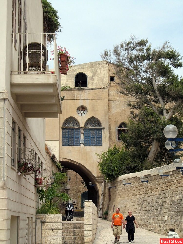 Израиль — страна-пустыня? Нет, страна-сад! Израиль — страна-пустыня? Нет, страна-сад!