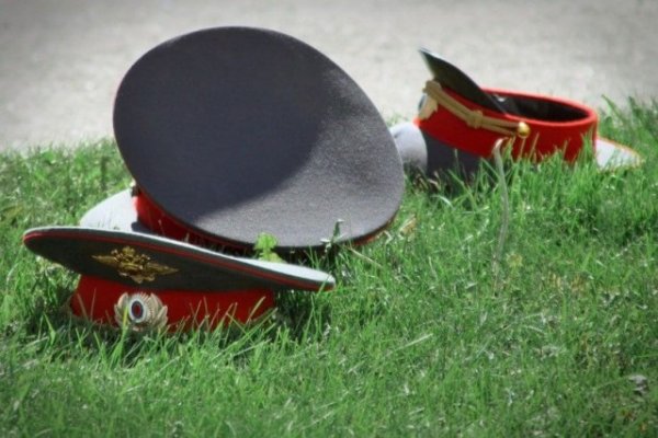 ГРУППОЙ ЛИЦ, ПО ПРЕДВАРИТЕЛЬНОМУ СГОВОРУ АНЕКДОТЫ И ИСТОРИИ