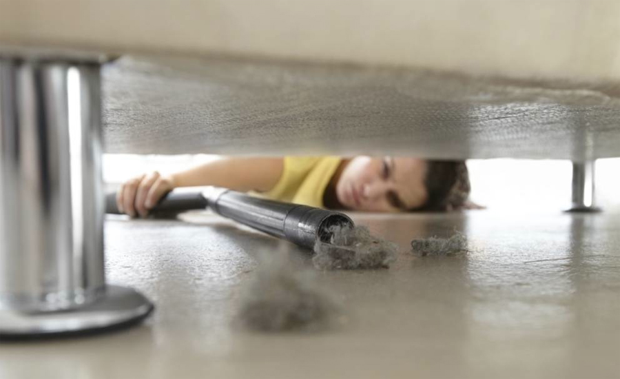 Опасные свойства домашней пыли и как с ней бороться Тренинг