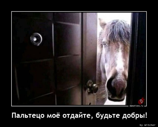 Демотиваторы прикольные для всех: «Фитотерапия» 