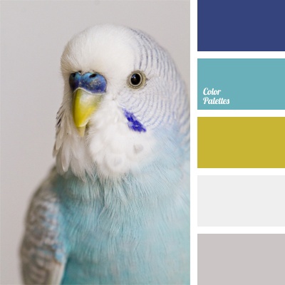 Цветовые палитры для дизайна интерьера от Color Palettes: птицы 