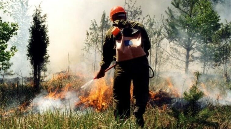 В Якутии за сутки ликвидировали шесть лесных пожаров