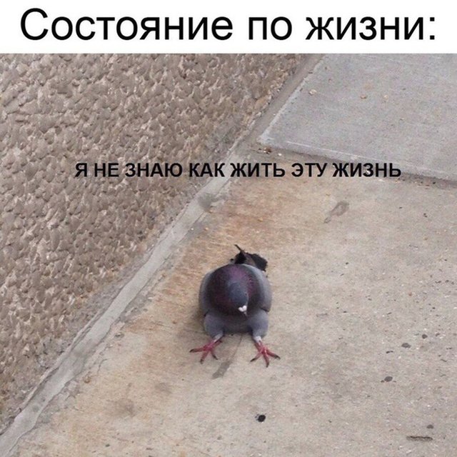 Фотоподборка понедельника 25 марта  