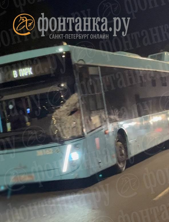 В Петербурге пассажирский автобус сбил лося