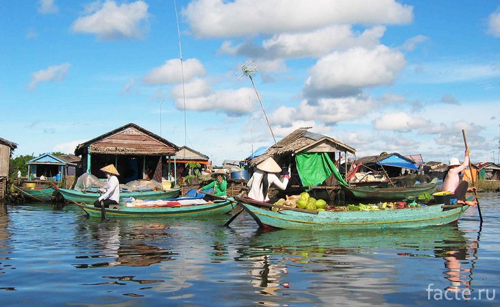 Жизнь в окружении воды Жизнь в окружении воды жизнь,интересное,общество