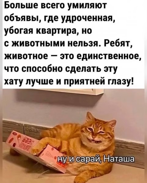 Прикольные картинки с надписями и цель на Новый Год 