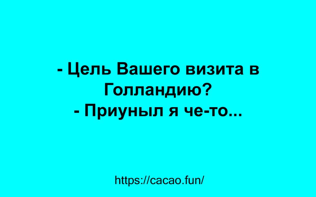 Интересные анекдоты о жизни Интересные анекдоты о жизни