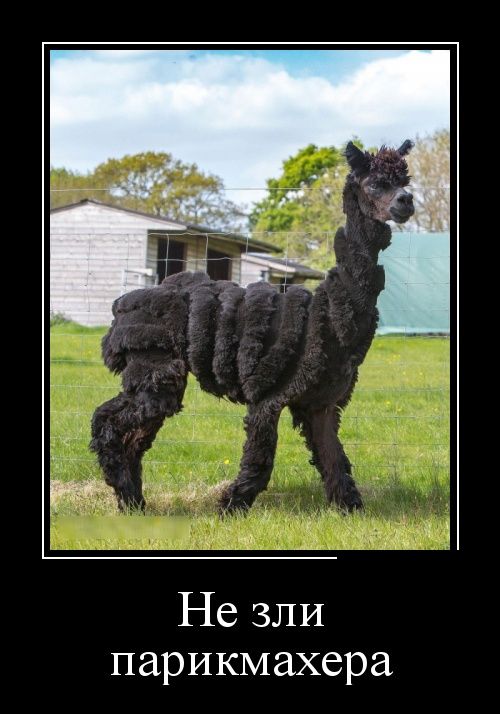 Веселые и забавные демотиваторы на выходные Веселые и забавные демотиваторы на выходные