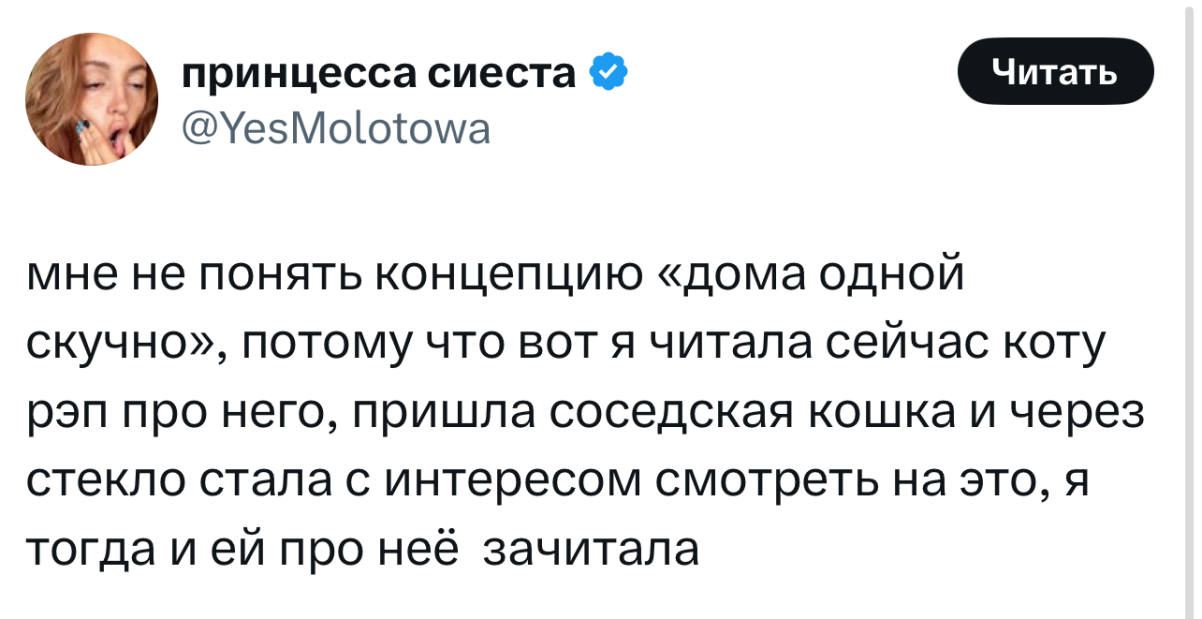 Смешные картинки с надписями в пятницу и мяч 