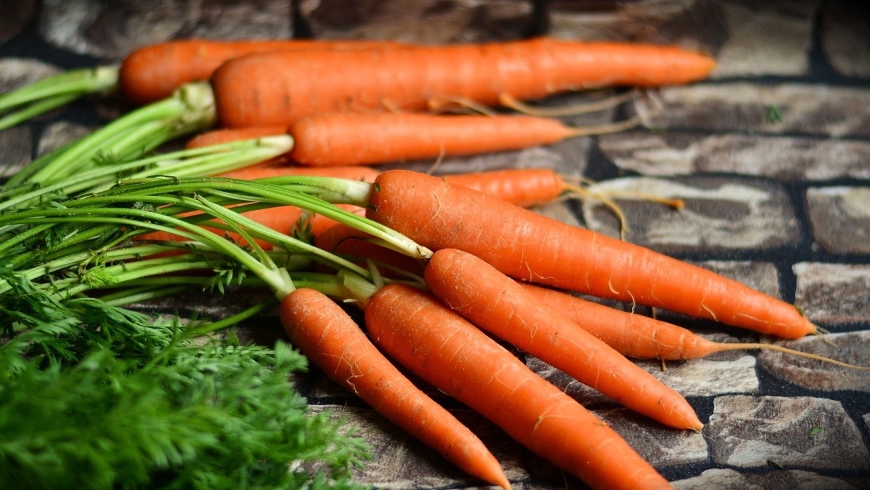 Стоимость моркови и капусты растет в России Экономика