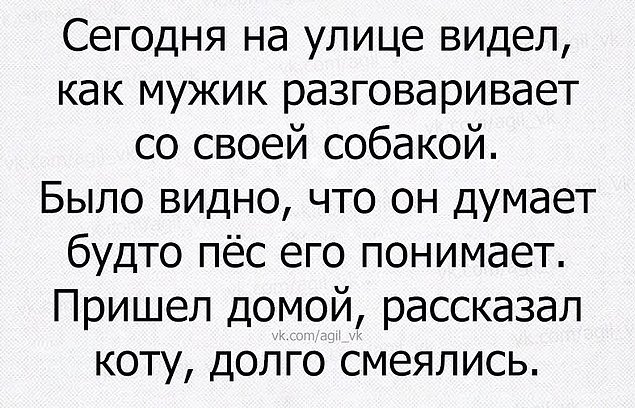 Тонкий юмор в открытках, повеселит каждого картинки,юмор