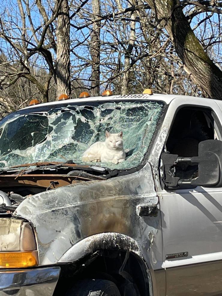 Подборка прикольных картинок  приколы,смешные картинки,юмор