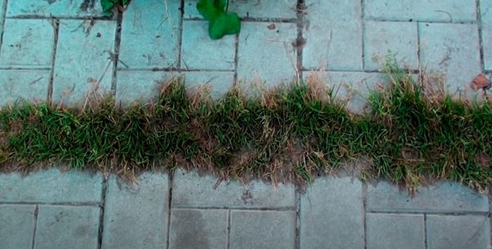 Проверенный копеечный способ, который позволит избавиться от травы между плиткой дача,полезные советы,сад и огород