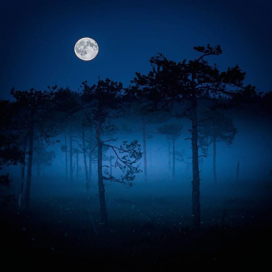 Финская природа в объективе финского фотографа Финская природа в объективе финского фотографа