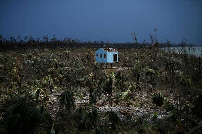 10 фото, сделанных агентством Reuters в ушедшем году и определивших его