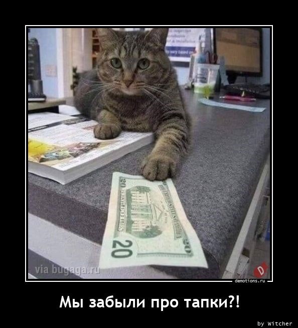 Постоянная рубрика для любителей демотивирующих картинок! Несём хорошее настроение в каждый монитор! 