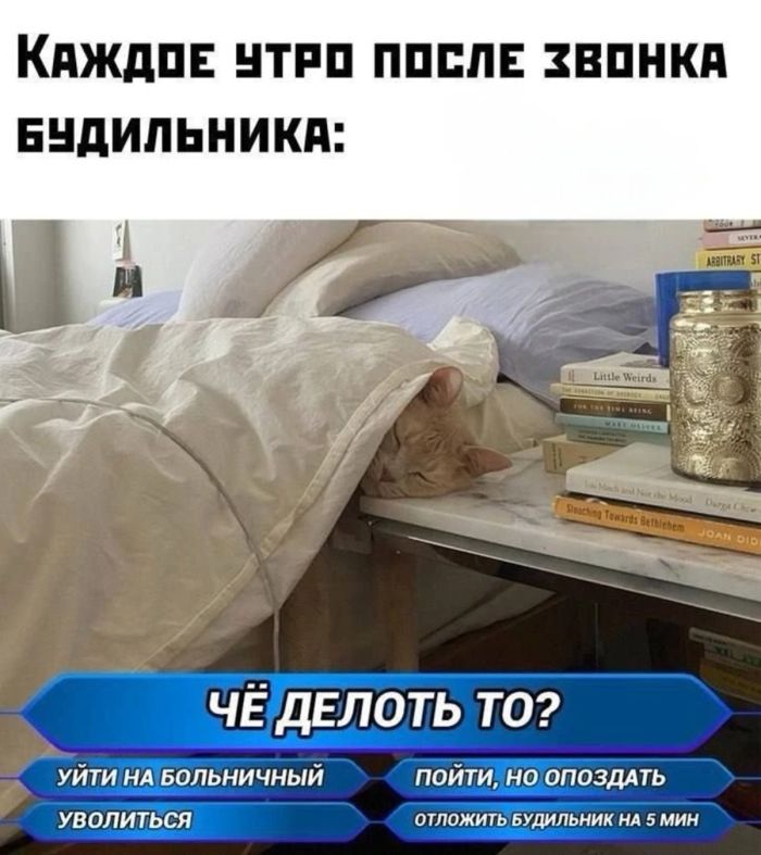 Юмор для тех, кто уже повзрослел и понял, что «спа-день» — это душ без спешки и звонков 