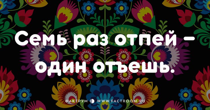 20 смешных современных поговорок, которых вы ещё не слышали