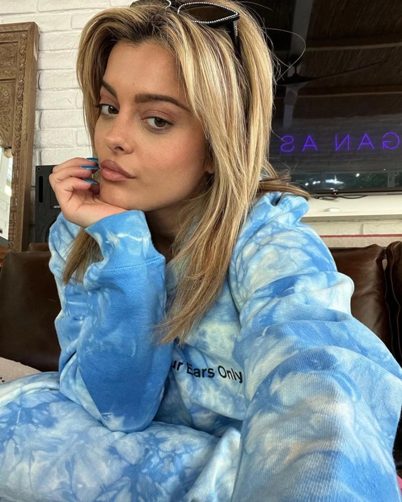 Кто такая Биби Рекса (Bibi Rexa) и почему она подвинет Дуа Липу (Dua Lipa) Rexha, который, песню, очень, песни, других, которая, Music, может, через, часто, писать, турне, сиськи, припев, более, жизни, первые, вокалистки, итоге