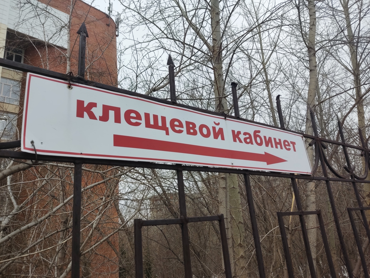 Двух человек госпитализировали в Новосибирской области после укусов клещей