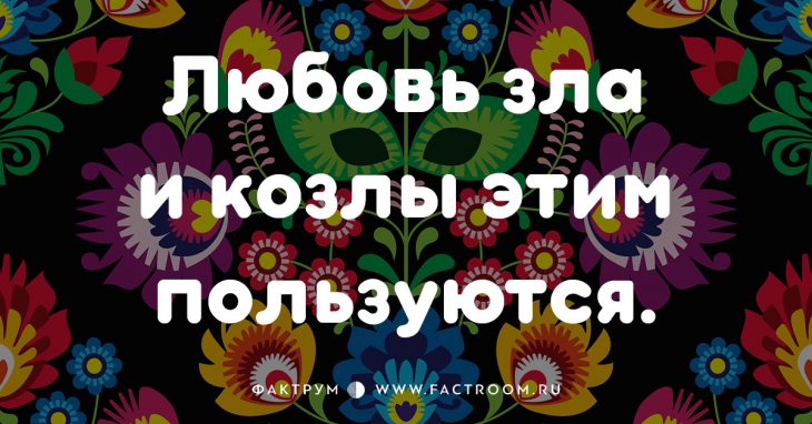 20 смешных современных поговорок, которых вы ещё не слышали