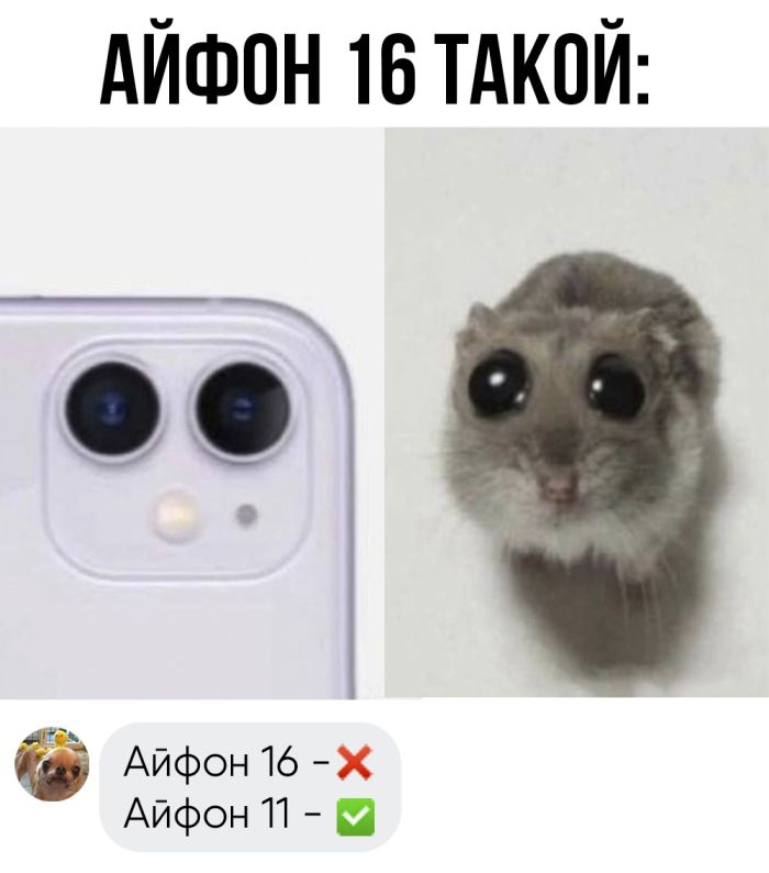 Остроумные комментарии, которые как острый соус добавляют пикантности посту 