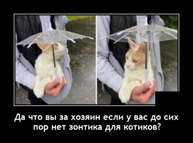 Новые демотиваторы  демотиваторы