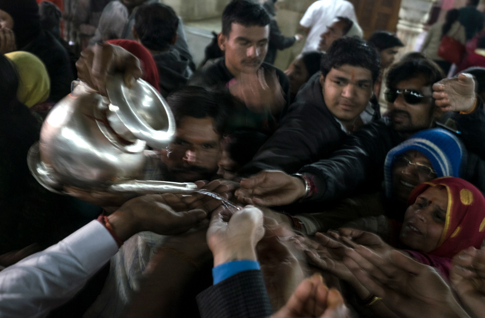 Крысиный рай: индийский храм, где поклоняются грызунам Крысиный рай: индийский храм, где поклоняются грызунам индия,история,крысы,культура индии,мир,страны