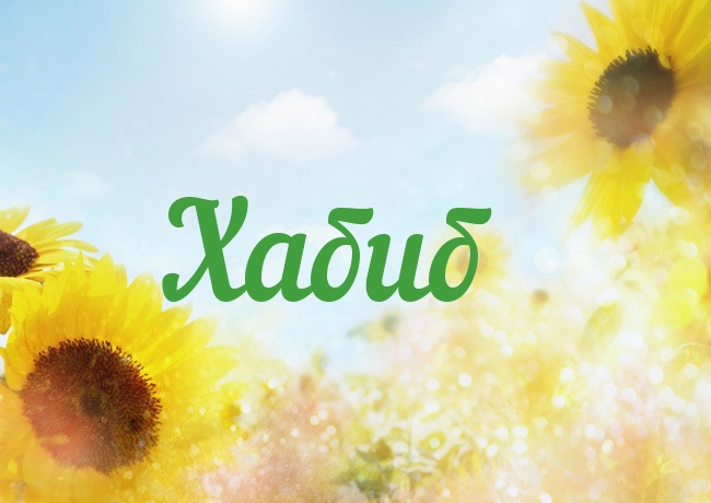 Значение имени Хабиб