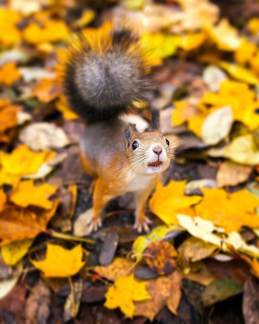 Финская природа в объективе финского фотографа Финская природа в объективе финского фотографа