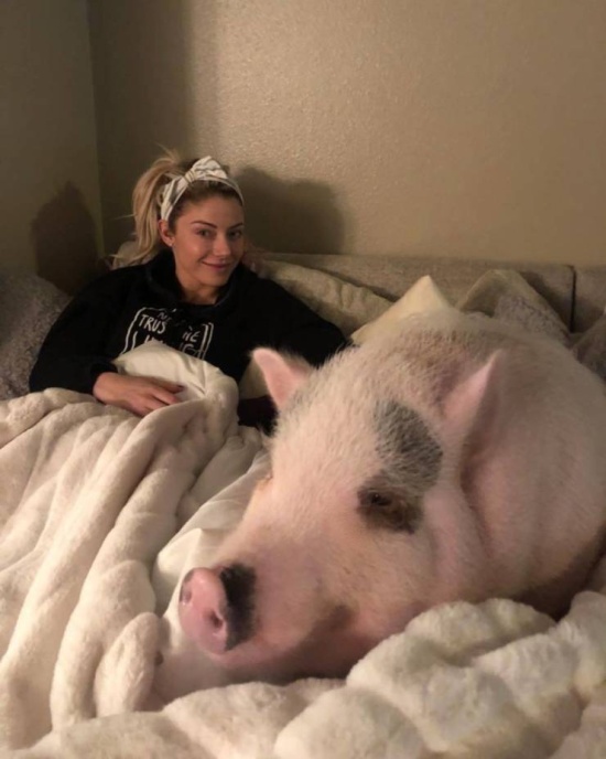 Подборка прикольных картинок Подборка прикольных картинок смешные картинки