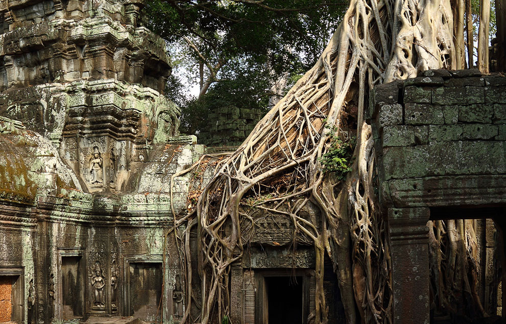 Камбоджийский храм Та Пром (Ta Prohm) и гигантские деревья можно, храмов, деревья, блоки, стенами, когда, более, несколько, вековые, храма, Ангкор, гигантскими, наблюдать, туристов, такой, камни, только, много, храмы, массивным
